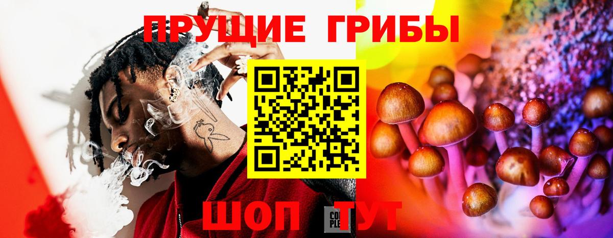 Амурск  Галлюциногенные грибы Psilocybe  цены наркотик  Вход с VPN  Псилоцибиновые грибы прущие грибы 